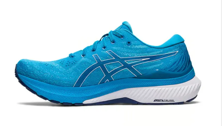 Asics Zip Up Wrestling Shoes Asics Men's GEL-KAYANO 29 - ISLAND BLUE/WHITE