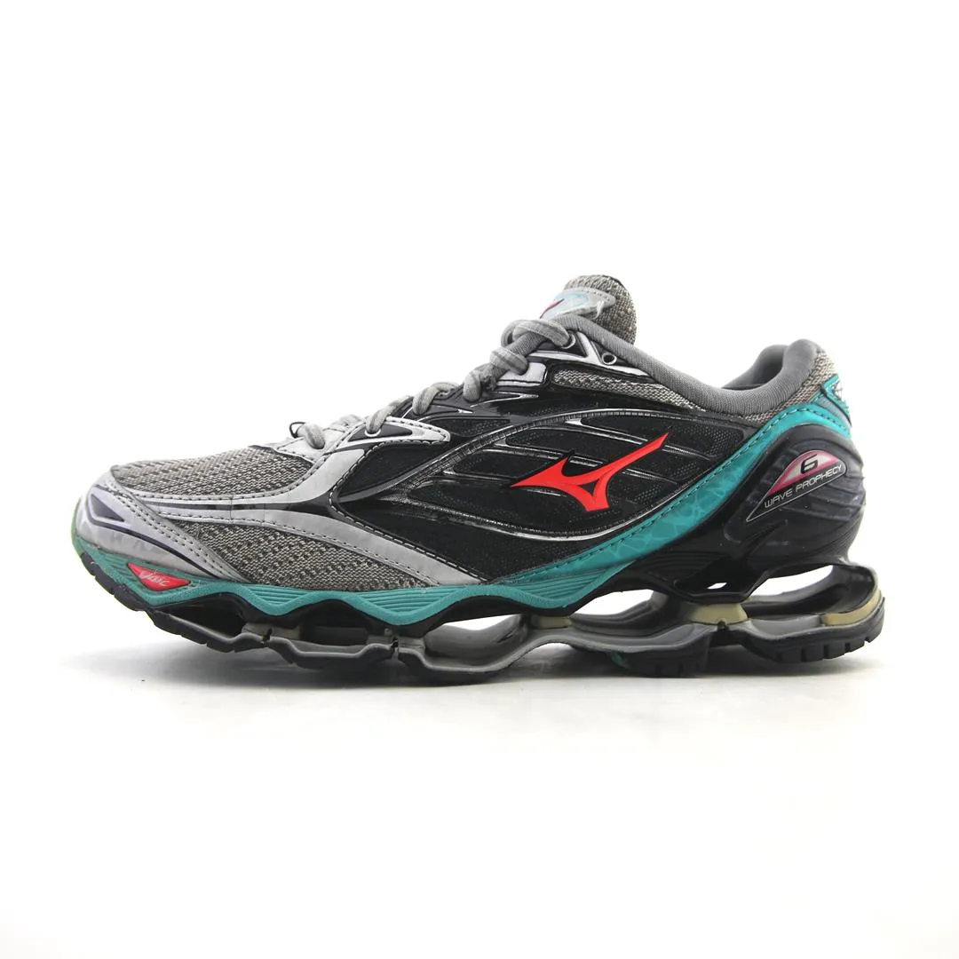 Dog In Running Shoes MIZUNO WAVE PROPHECY 6